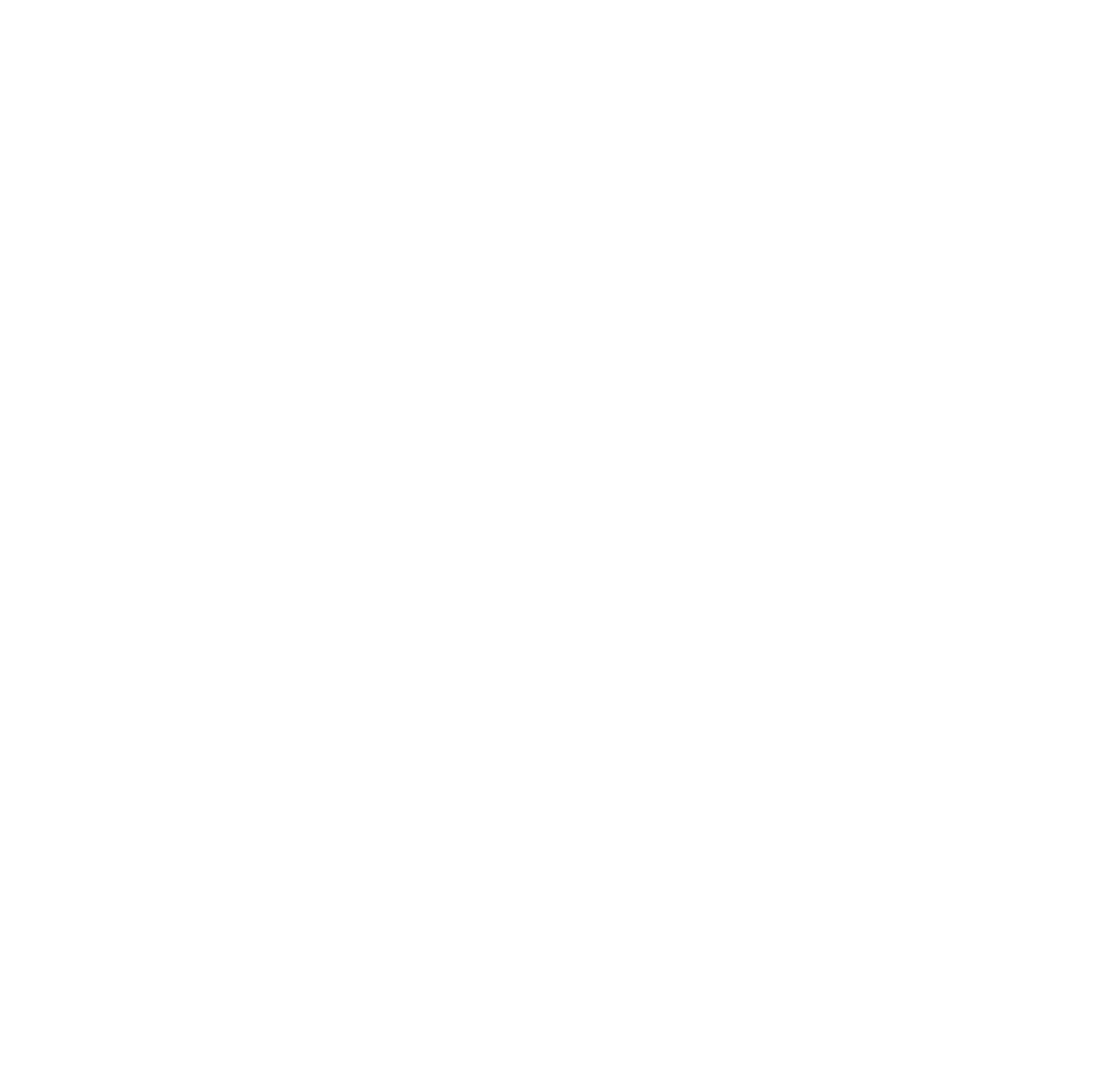 Reproducir video